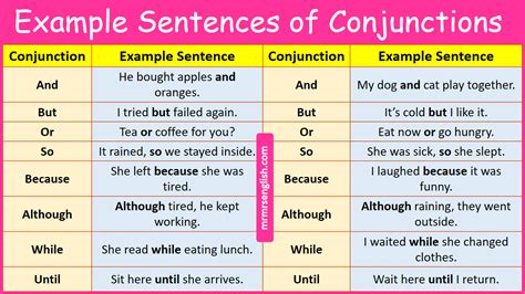biography example sentence for conjunction