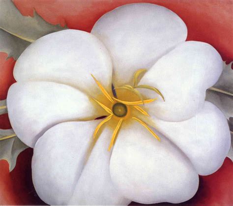 biography georgia keeffe o paintings flowers