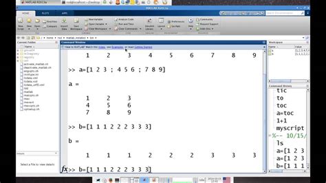 biography matlab array