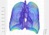 biography matlab code for lung segmentation