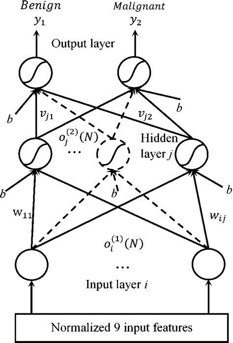 biography matlab toolbox neural network classifier