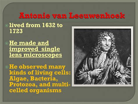 biography of anton van leeuwenhoek cell