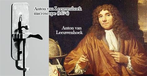 biography of antony van leeuwenhoek inventions