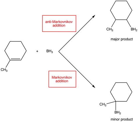 biography of markovnikov addition