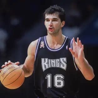 biography of peja stojakovic