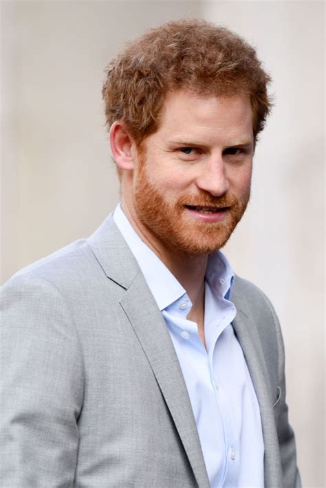 biography of prince harry