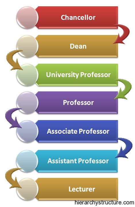 biography university professor hierarchy