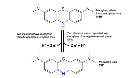Biohacker taking methylene blue