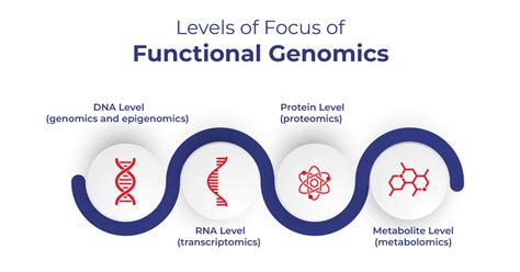 Bioinformatics And Functional Genomics