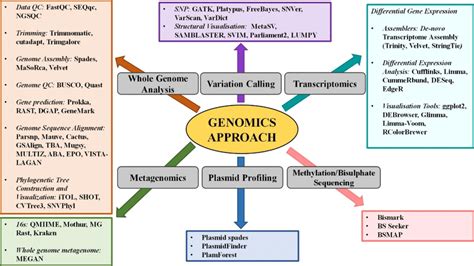 bioinformatics tools for the genome assembly and analysis …