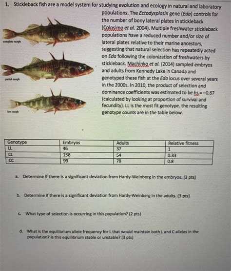 Biointeractive Stickleback Fish Answers