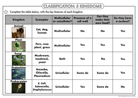 Biological Classification Answer Key