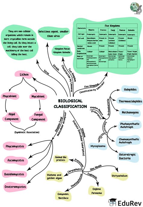 Biological Classification Class 11 Notes