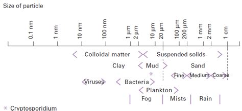 biological impurities in water - Degremont®