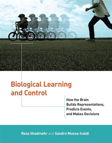 Biological Learning And Control How The Brain Builds Representations Predicts Events And Makes Decisions Computational Neuroscience