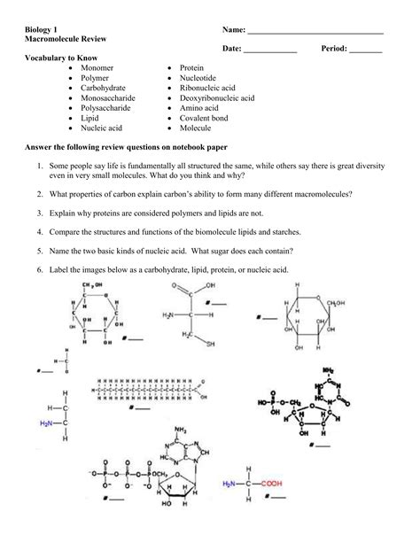 Biological Macromolecule Practice Questions Principles Of Biology Biological Molecules Worksheet Answer Key - Biological Molecules Worksheet Answer Key