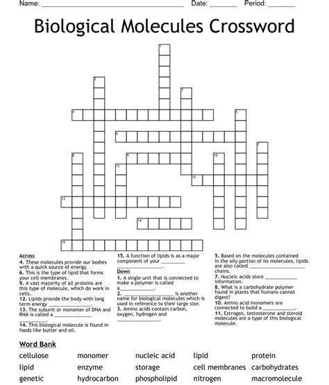 Biological Molecules Crossword Puzzle With Answer Key Biomolecules Biological Molecules Worksheet Answer Key - Biological Molecules Worksheet Answer Key