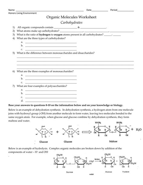 Biological Molecules Worksheet Mdash Db Excel Com Biology Center Worksheet Answers - Biology Center Worksheet Answers