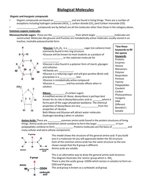 Biological Molecules Worksheets And Answers Aqa A Level Biological Molecules Worksheet Answer Key - Biological Molecules Worksheet Answer Key