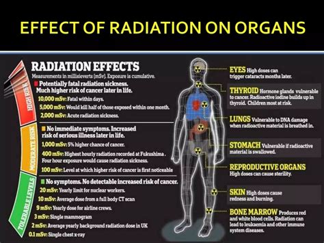 Biological Radiation Effects