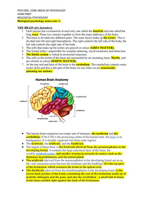 Read Biological Psychology Study Guide 