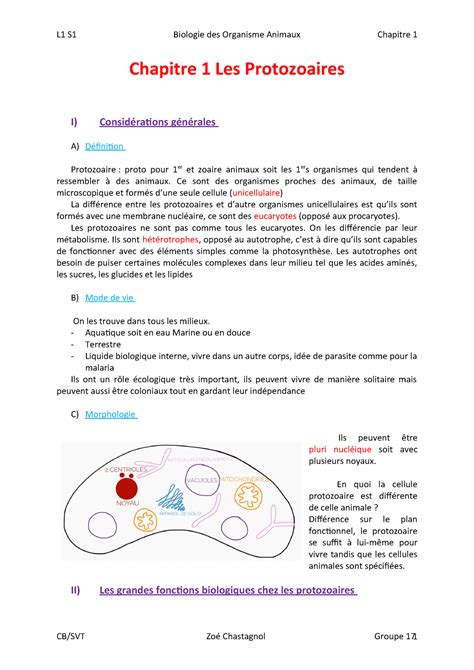 biologie animale cours protozoaires pdf