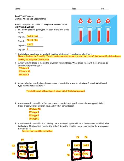 Biology 1 Blood Type Problems Assignment Key Name Blood Type Worksheet Answers - Blood Type Worksheet Answers