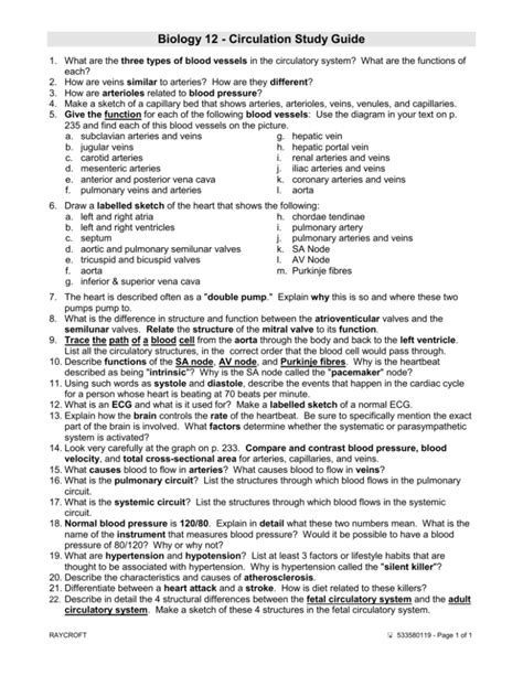 Biology 12 Circulation Study Guide Key