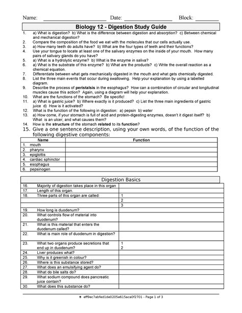 Biology 12 Digestion Study Guide Answers