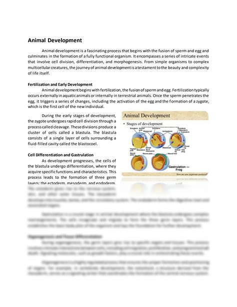 Biology Animal Development Study Guide