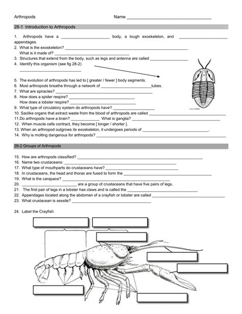 biology arthropods study guide answer key