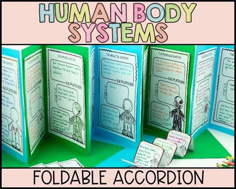 biology body systems foldable