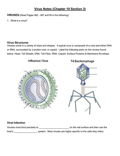 Biology Ch 6 Viruses And Monerans Flashcards Quizlet Bacteria Typical Monerans Worksheet Answers - Bacteria Typical Monerans Worksheet Answers