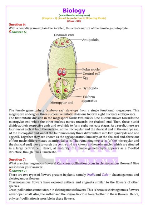 Biology Chapter 1