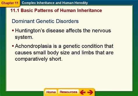 Biology Chapter 11 Complex Inheritance And Human Heredity Answer Key