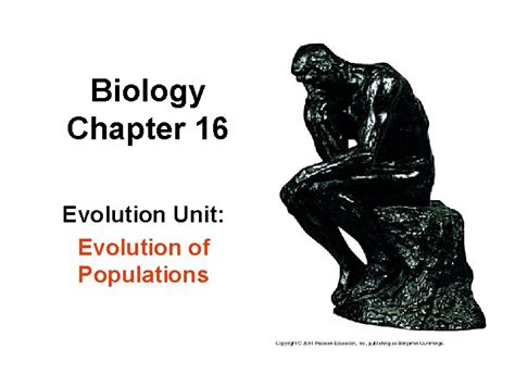 Biology Chapter 16 Evolution Of Populations Test Answers