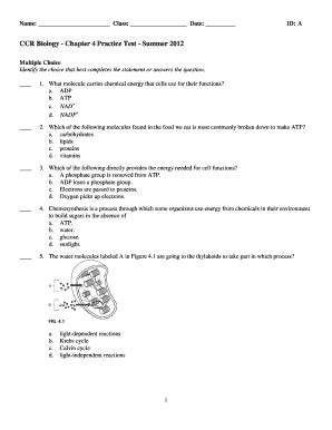 Biology Chapter 4 Test