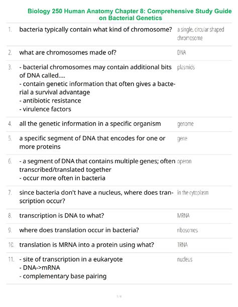 Biology Chapter 8 Study Guide