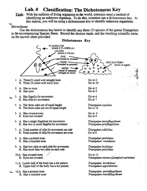 Biology Classification Lab Answer Key