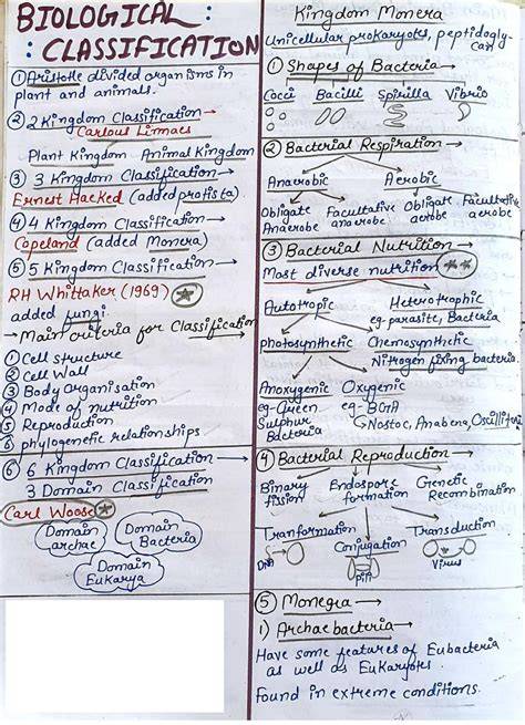 biology classification note sheet answer key