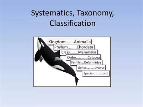 biology classification taxonomy systematics review answers