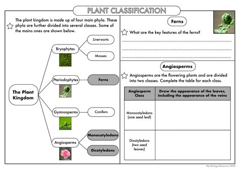 Biology Classifications Of Organisms Lesson Plan Teaching 6th Grade Biology - 6th Grade Biology
