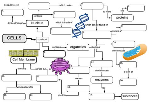 Biology Corner