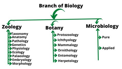 Biology Definition History Concepts Branches Amp Facts Science Living Things - Science Living Things