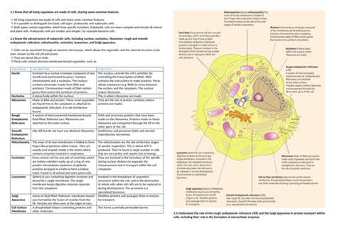 biology edexcel salters nuffield unit 2