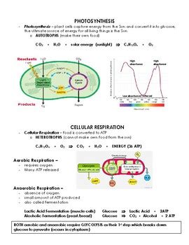 Biology Eoc Cheat Sheet