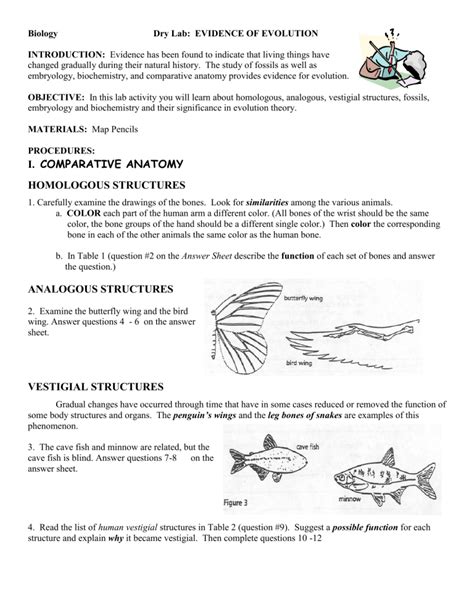 biology evidence of evolution lab answer key