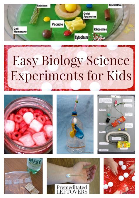 Biology Experiments Science With Kids Com Science Experiments Biology - Science Experiments Biology