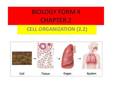 Biology Form 4 Chapter 2 Mind Map Notes