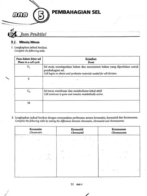 Biology Form 4 Chapter 6 Notes